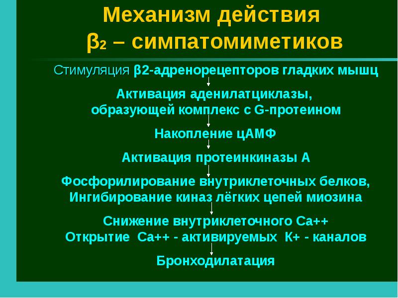 Бронхолитик. Показания к бронхолитикам. Симпатомиметики бронхолитики. Эуфилиновые бронхолитики. Липофильные Морфиномиметики.