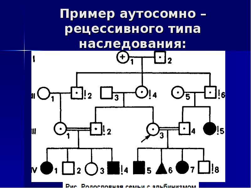 Родословные карты. Родословная с аутосомно-рецессивным типом наследования. Клинико-генеалогический метод принципы родословных. Генеалогическое Древо аутосомно рецессивный Тип наследования. Аутосомно-рецессивный Тип наследования примеры.