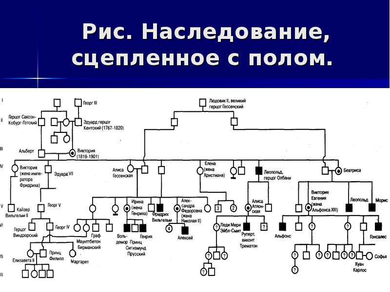 Основные задачи клинико генеалогического метода