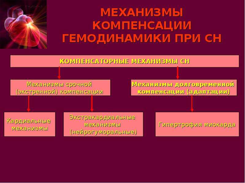 Сердечная недостаточность патофизиология презентация