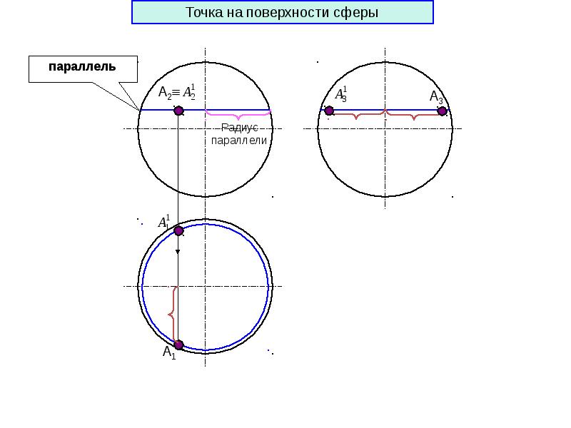 Точки поверхности. Точки на поверхности сферы. Поверхности сферы принадлежит точка. Принадлежность точек к поверхности сферы. Дайте названия линий на поверхности сферы.