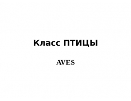 Класс ПТИЦЫ AVES
