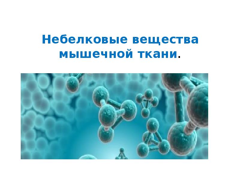 Тестостерон презентация по биохимии