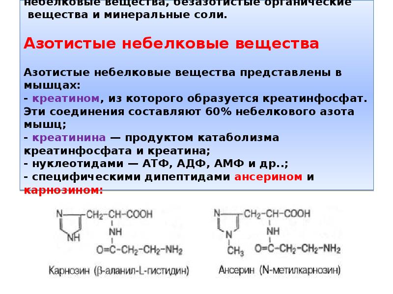 Вещества мышц. Азотистые и безазотистые вещества мышц. Азотистые и безазотистые вещества это. Небелковые азотистые вещества. К азотистым веществам мышечной ткани.