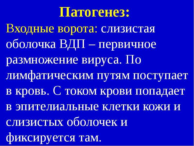 Патогенез герпетической инфекции. Входные ворота кровь. Ветряная оспа патогенез.