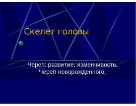 Скелет головы