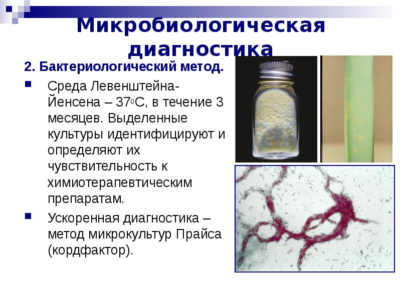 Туберкулез презентация по микробиологии