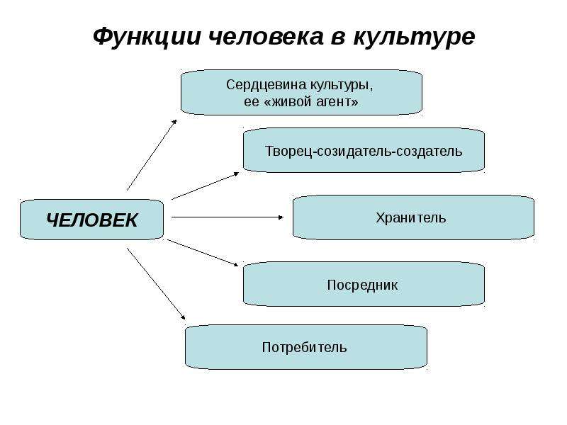 Схема человек и культура