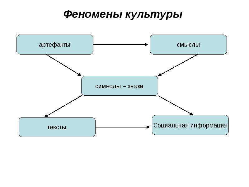 Культура явление