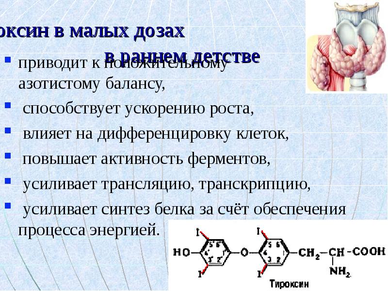 Презентация регуляция транскрипции и трансляции в клетке и организме