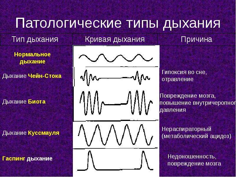 Графическое изображение дыхания