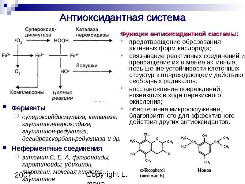 Антиоксидантные ферменты