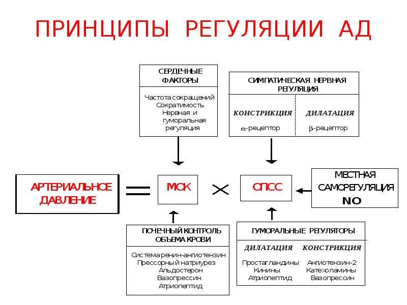 Принципы регуляции