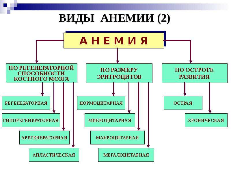 Классификация анемий схема