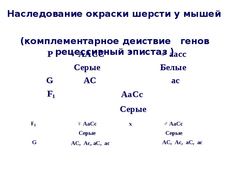 генетический 3 буквы