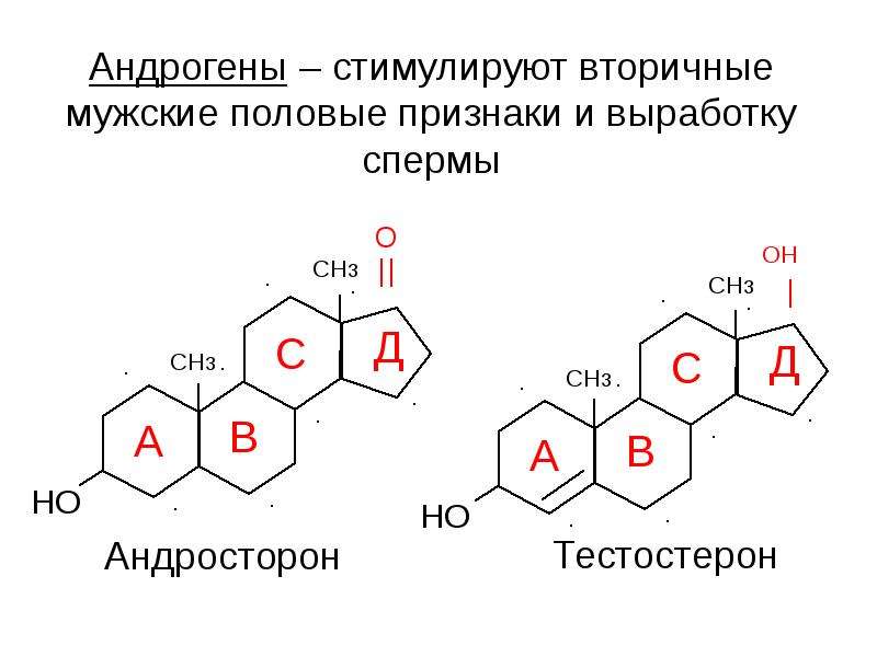 Андрогены это