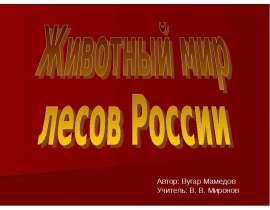 Животный мир лесов России