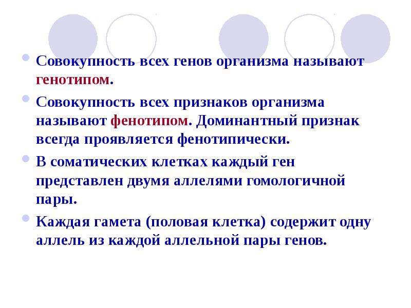 Совокупность всех взаимодействующих генов организма