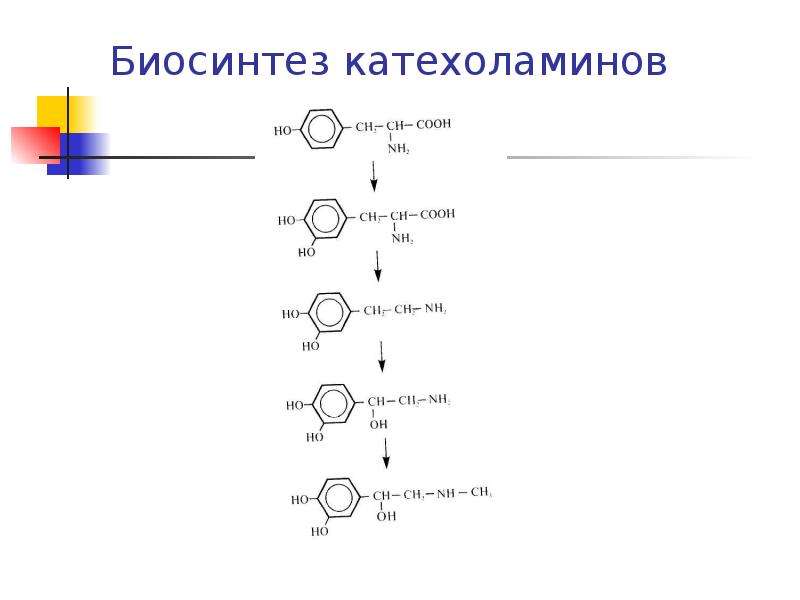 Схема синтеза катехоламинов