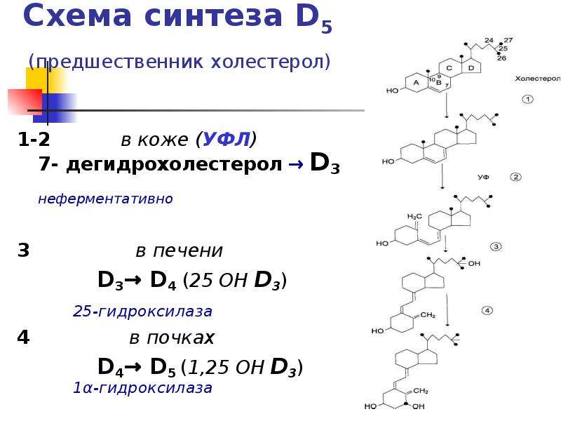 D d синтез