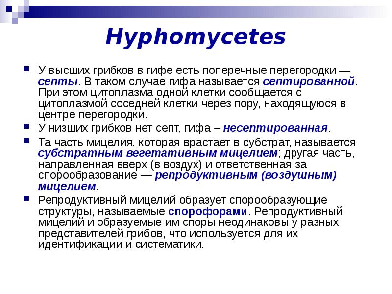 Презентация морфология 9 класс