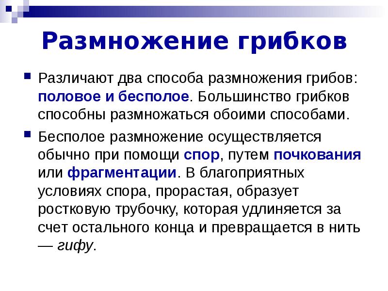 Размножение осуществляется