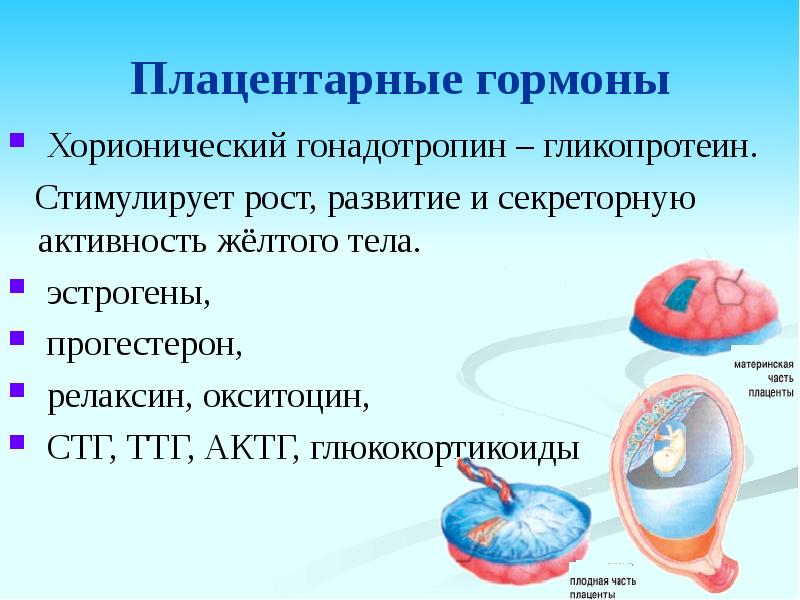 Гормоны плаценты презентация