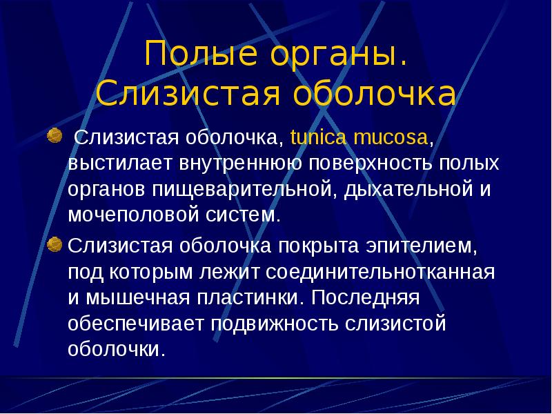 Полые органы. Внутренняя поверхность дыхательных путей выстлана:. Учение о внутренностях (Общие данные)..