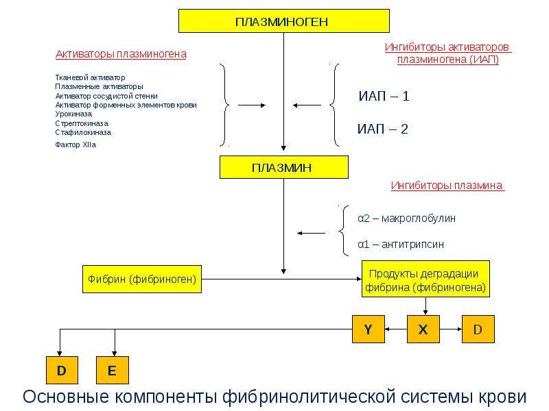 Фибринолитическая система крови схема