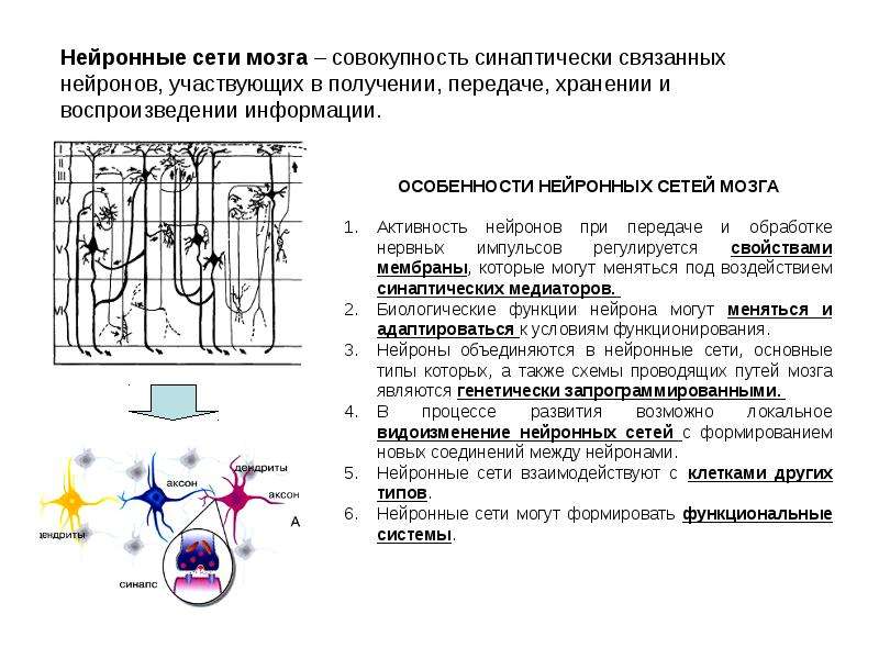 Актуальность проекта нейронные сети