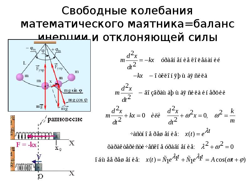 1 колебание математического маятника