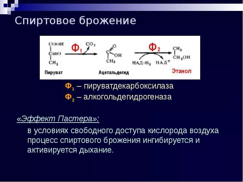 Спиртовое брожение