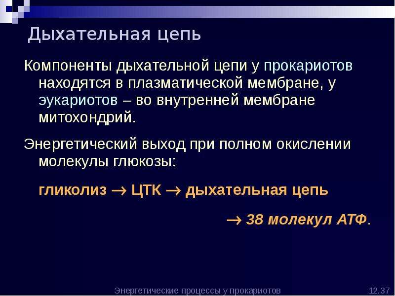 При полном окислении молекулы. Компоненты дыхательной цепи. Характеристика компонентов дыхательной цепи. Коферменты компонентов дыхательной цепи митохондрий.. Компоненты дыхат цепи.