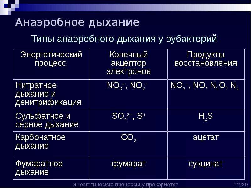 Конечные продукты анаэробного. Конечные продукты анаэробного дыхания. Уравнение анаэробного дыхания. Особенности метаболизма прокариот. Дыхание прокариот.