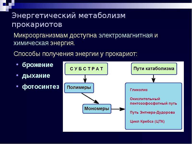 Энергетический обмен веществ