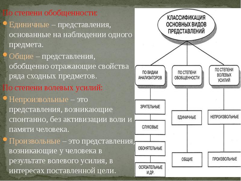 Определите вид представлений. Классификация основных видов представлений. Классификация представлений по степени обобщенности. Единичные и Общие представления. Единичные представления в психологии.