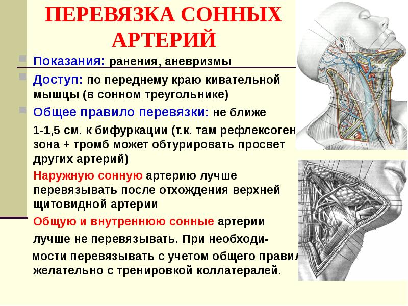 Топографическая анатомия и оперативная хирургия шеи презентация