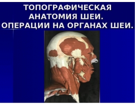 ТОПОГРАФИЧЕСКАЯ АНАТОМИЯ ШЕИ. ОПЕРАЦИИ НА ОРГАНАХ ШЕИ