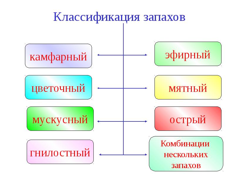 Виды запахов. Классификация запахов Линнея. Классификация запахов Цваардемакера. Градация запахов. Классификация запахов Карла Линнея.