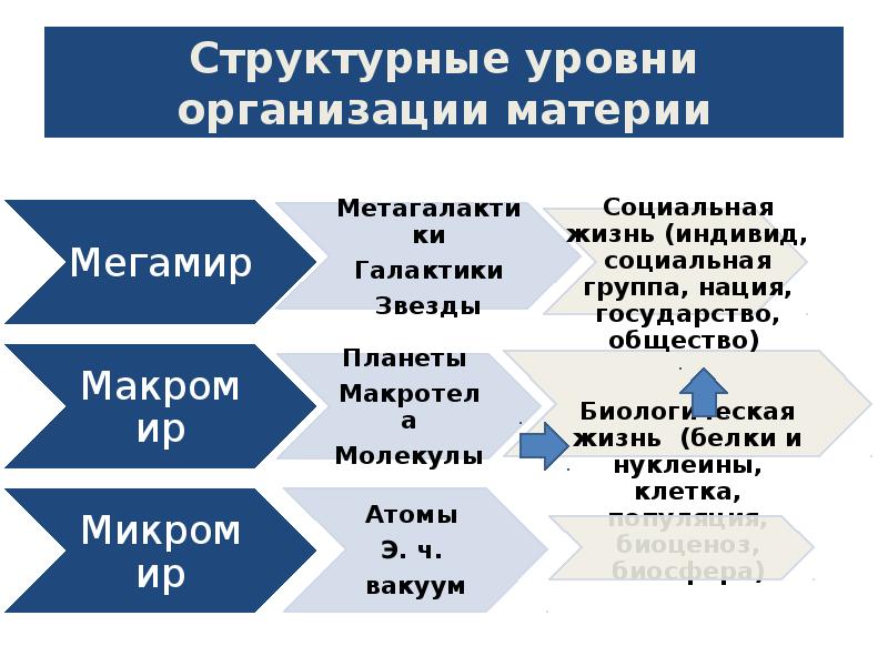 Современные представления об уровнях организации материи презентация