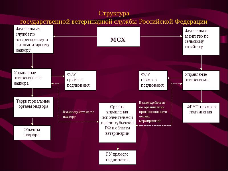 Отдел ветеринарного контроля. Структура ветеринарного дела.