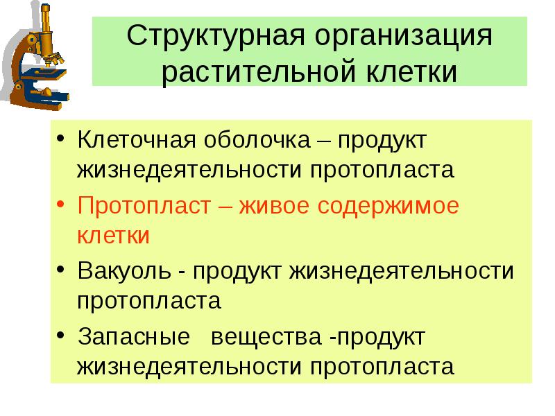 Живое содержимое. Структурная организация клетки. Структурная организация растительной клетки. Продукты жизнедеятельности протопласта растительной клетки. Принцип структурной организации растительной клетки.