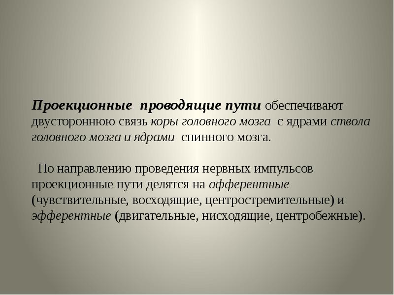 Проводящие пути центральной нервной системы презентация