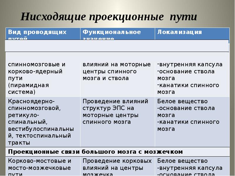 Проекция пути