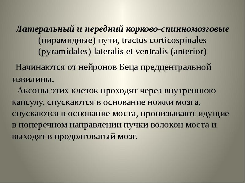 Проводящие пути центральной нервной системы презентация