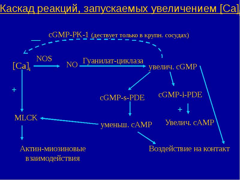 Собирательная проницаемость