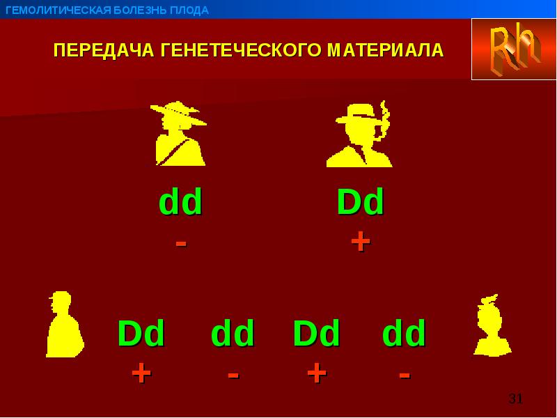 Гемолитическая болезнь плода презентация