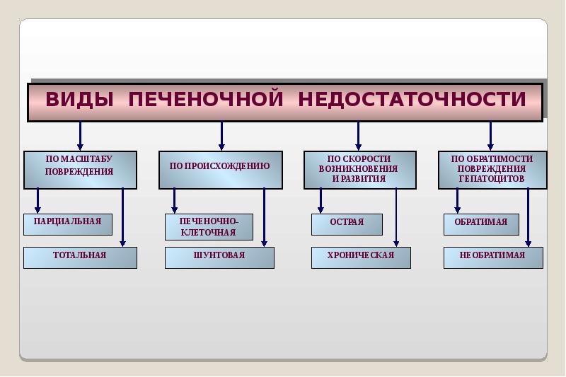 Виды печеночной недостаточности. Острая печеночная недостаточность классификация. Недостаточность печени классификация. Тип (форму) печеночной недостаточности. Виды острой печеночной недостаточности.