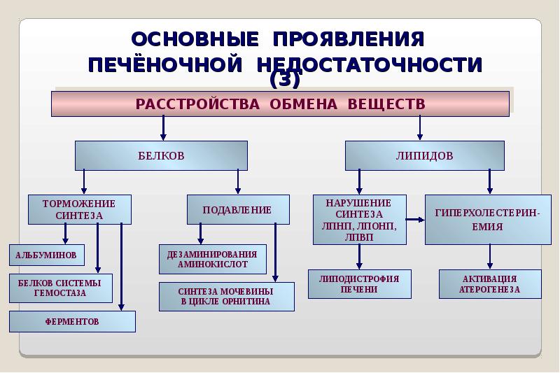 Печеночная недостаточность патофизиология презентация