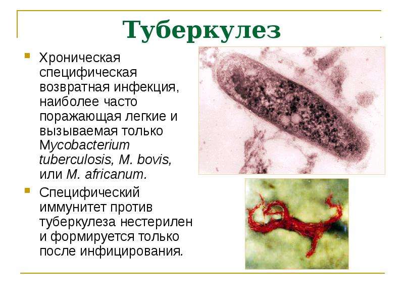 Острая аэробная хирургическая инфекция презентация